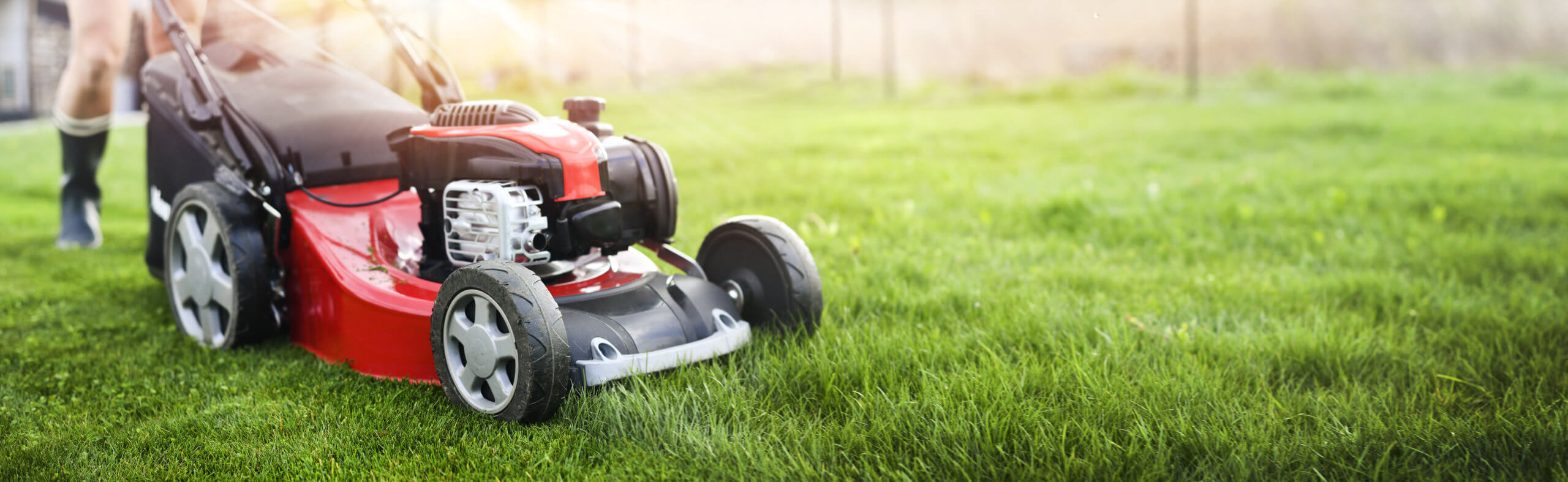 Lawn-Care Scams Sprout up in Spring - Focus Federal Credit Union